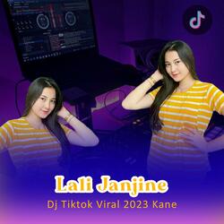 Lali Janjine Remix Jj