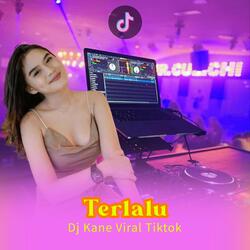 Terlalu Remix Jj