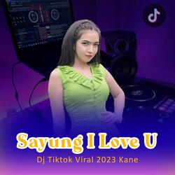 Sayung I Love You Remix