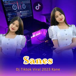 Sanes Jj Remix Ngancani Nanging Ora Iso Nduweni
