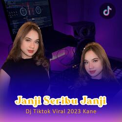 Janji Seribu Janji Remix Jj Pargoy