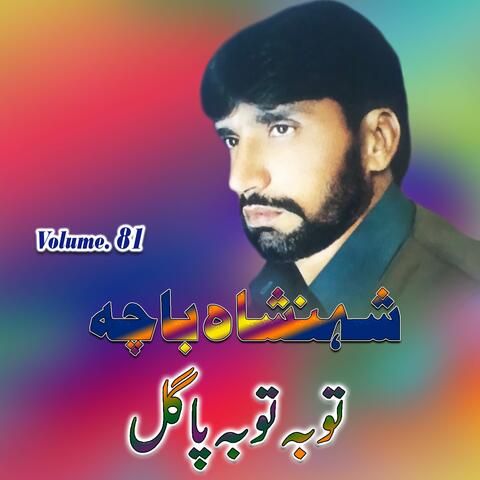 Toba Toba Pagal, Volume, 81