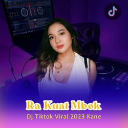 Ra Kuat Mbok Jj Remix Pargoy