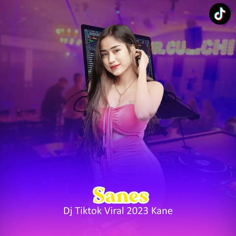Sanes Jj Remix Mengkane