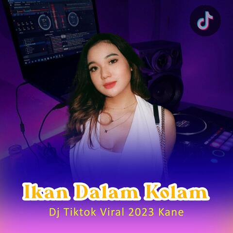 Ikan Dalam Kolam Jj Remix Jangan Jangan Dulu Wowowo