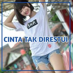 DJ CINTA TAK DIRESTUI MASHUP