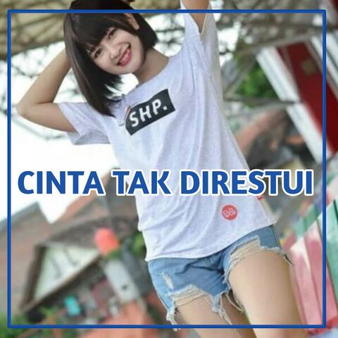 DJ CINTA TAK DIRESTUI MASHUP