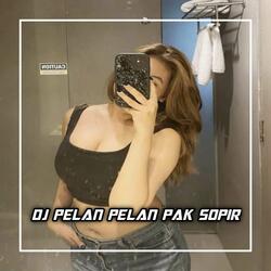 DJ PELAN PELAN PAK SOPIR x DI GEBOY