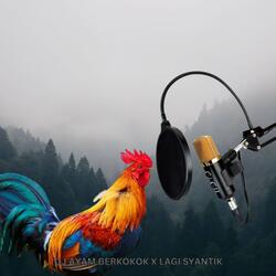 DJ AYAM BERKOKOK X LAGI SYANTIK