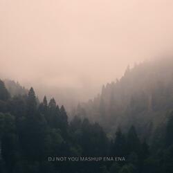 DJ NOT YOU MASHUP ENA ENA