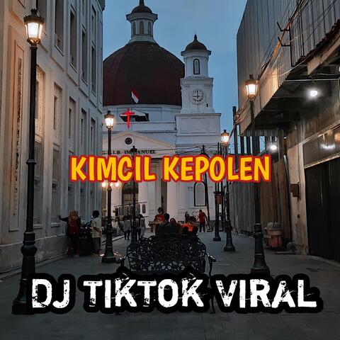 DJ KIMCIL KEPOLEN NDX A K A FULL REMIX PARGOY