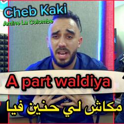 A Part Waldiya