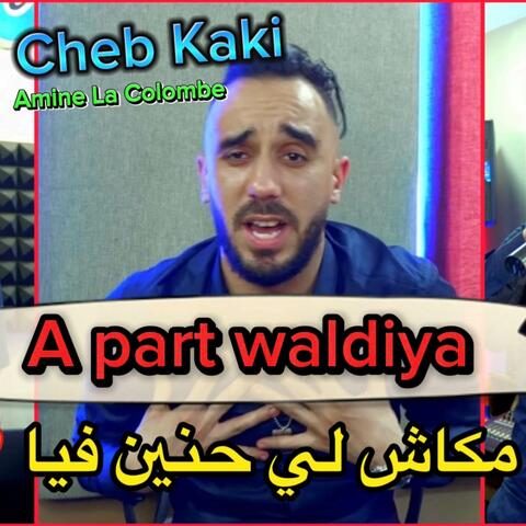 A Part Waldiya
