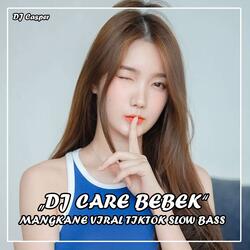 DJ CARE BEBEK REMIX SLOW BASS
