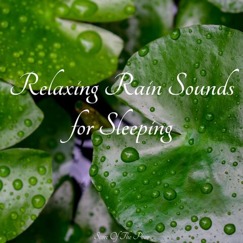 Relaxing Rain Sounds for Sleeping