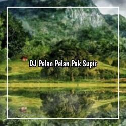 DJ PELAN PELAN PAK SOPIR Astagfirullah