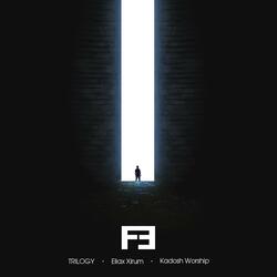 Fe