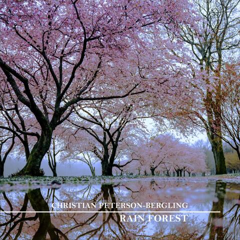 Rain Forest