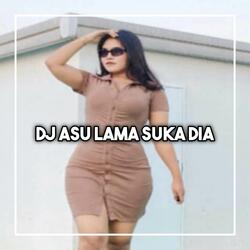 DJ ASU LAMA SUKA DIA SLOW