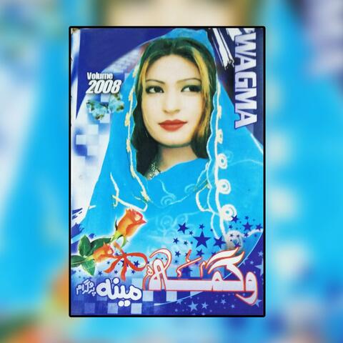 Meena Program, Volume, 2008