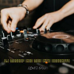 DJ Mashup Gue Mah Gitu Orangnya