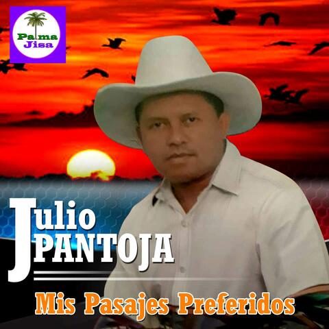 Mis Pasajes Preferidos