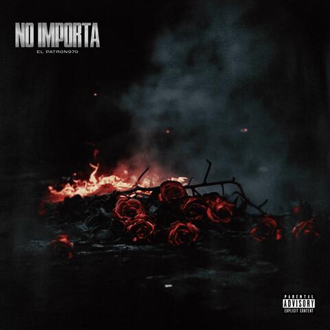No Importa