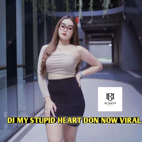 DJ MY STUPID HEART DON NOW