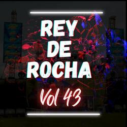 La Rica Cuji (Con Placas) (Vol 43)