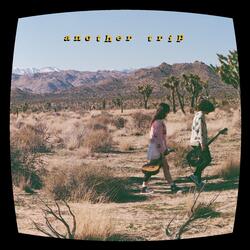 Another Trip