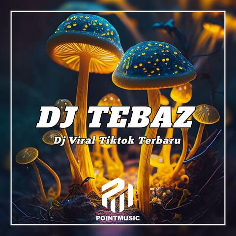 DJ Kembalilah Padaku