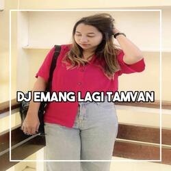 DJ EMANG LAGI TAMVAN