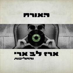 כמו החולות
