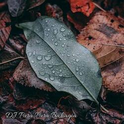 PURA PURA BAHAGIA MIX