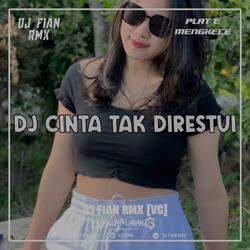 DJ CINTA TAK DI RESTUI