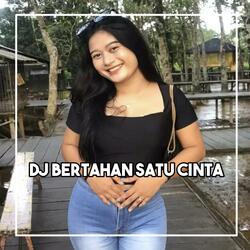 DJ LUKA LUKA YANG KURASAKAN BERTUBI TUBI YANG KAU BERIKAN - BERTAHAN SATU CINTA BREAKBEAT