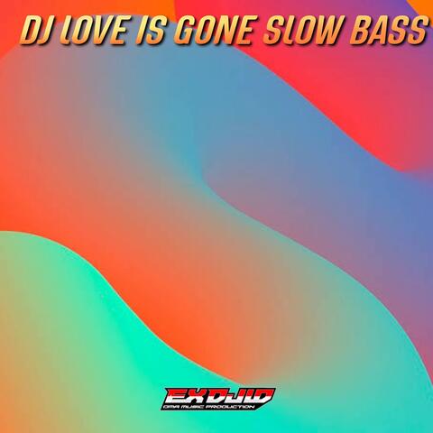 DJ LOVE IS GONE - Inst