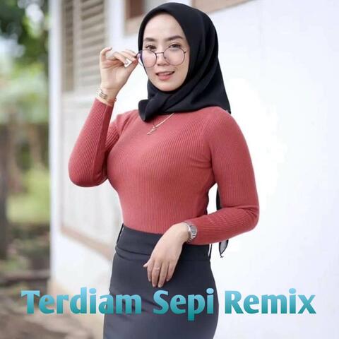 DJ Terdiam Sepi (Remix)