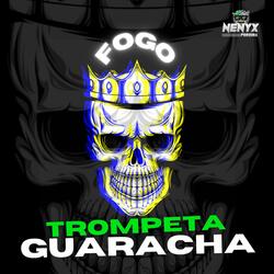 Fogo Trompeta Guaracha