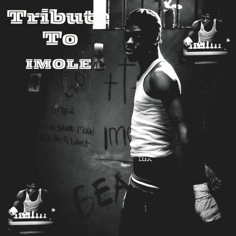 Tribute To Imole