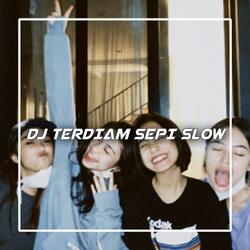 DJ TERDIAM SEPI V1