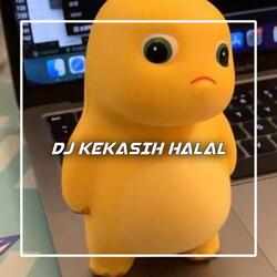DJ KEKASIH HALAL