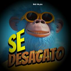 Se Desacato