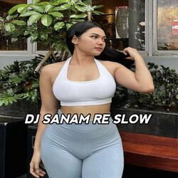 DJ SANAM RE STYLE BASS HORREG MANGKANE