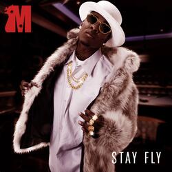 Stay Fly