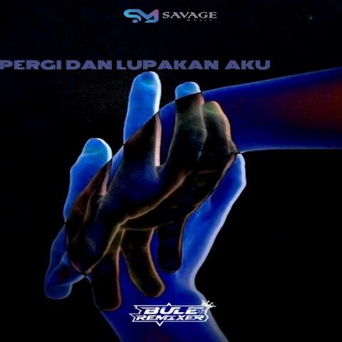 PERGI DAN LUPAKAN AKU Remix