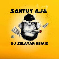 Dj Santuy Aja