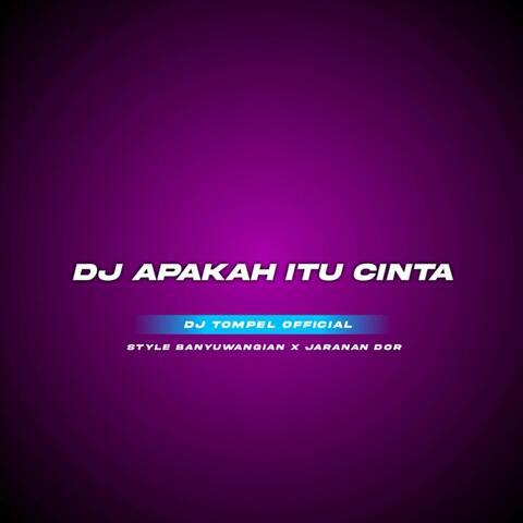 DJ APAKAH ITU CINTA