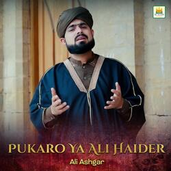 Pukaro Ya Ali Haider