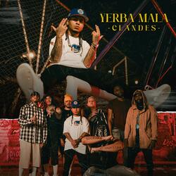 Yerba Mala